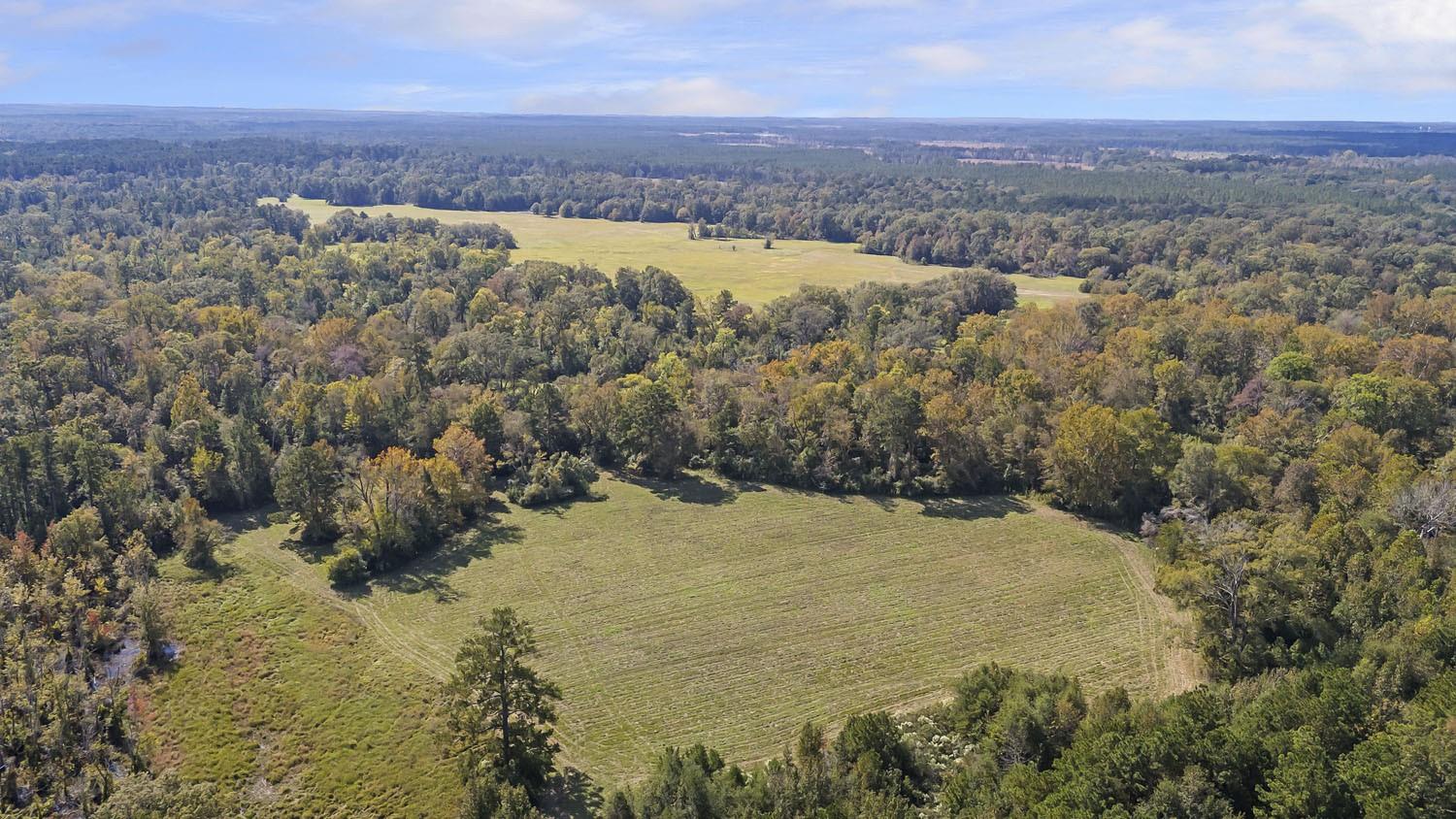 4304 Farm Market 352