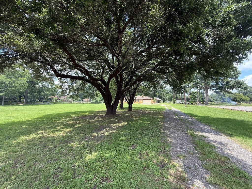 Photo of 18751 Fm 1484 Rd RD, Conroe, TX 77303 (MLS # 28662143)