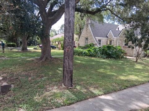 1304 Rhodora Street