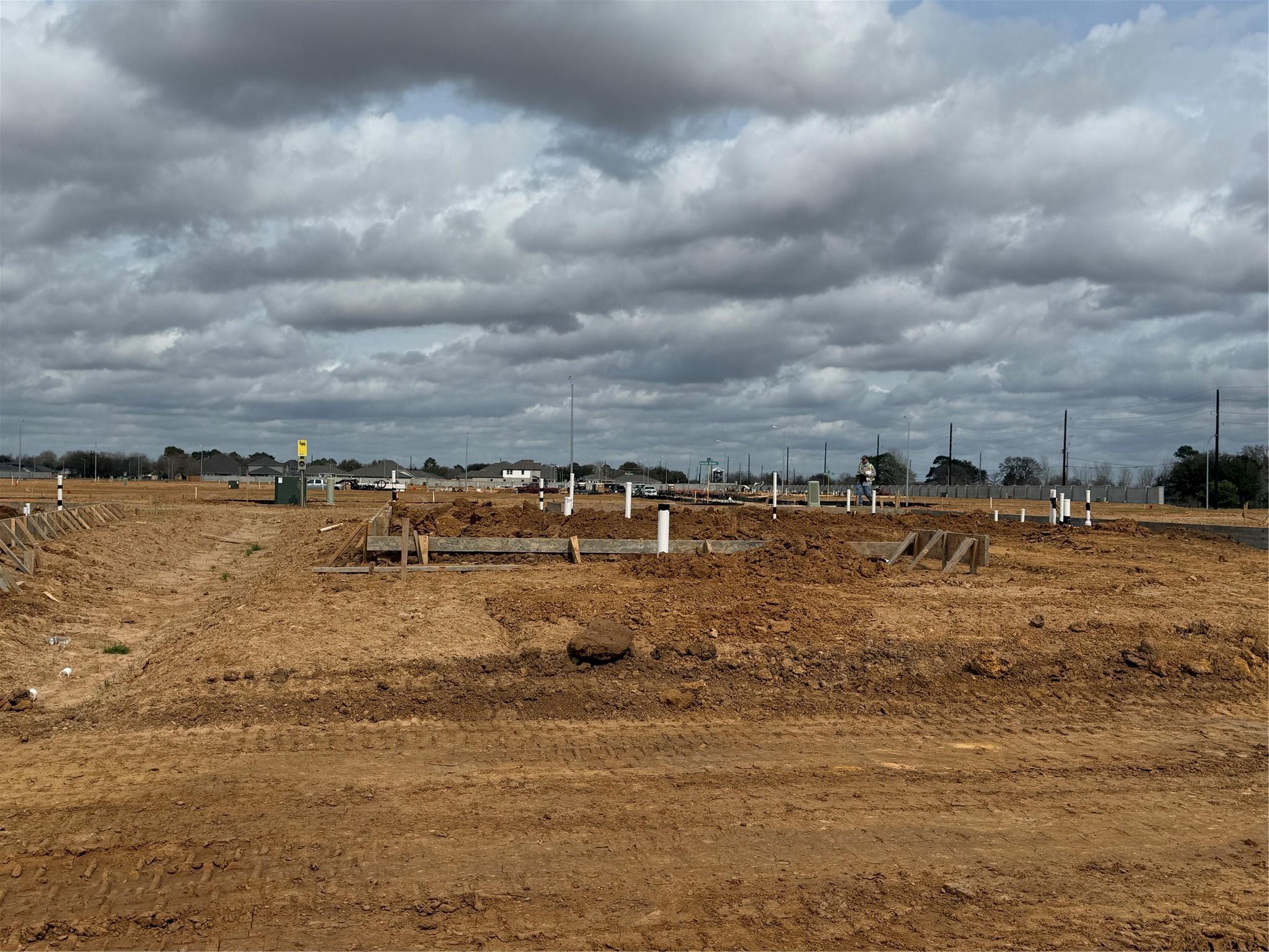 29006 Fig Vine Drive