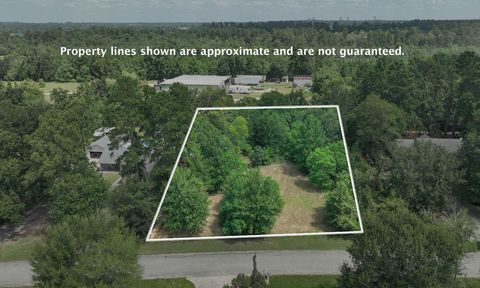 Photo of 18718 Connie Avenue, Magnolia, TX 77355 (MLS # 55952983)