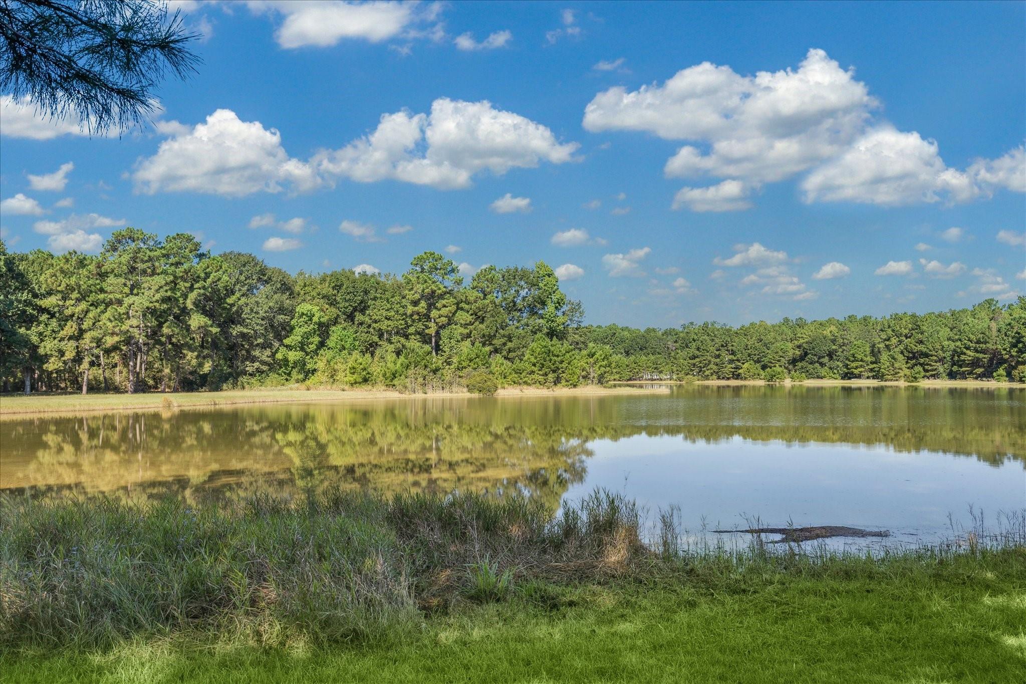 30611 Saddle Horn Drive