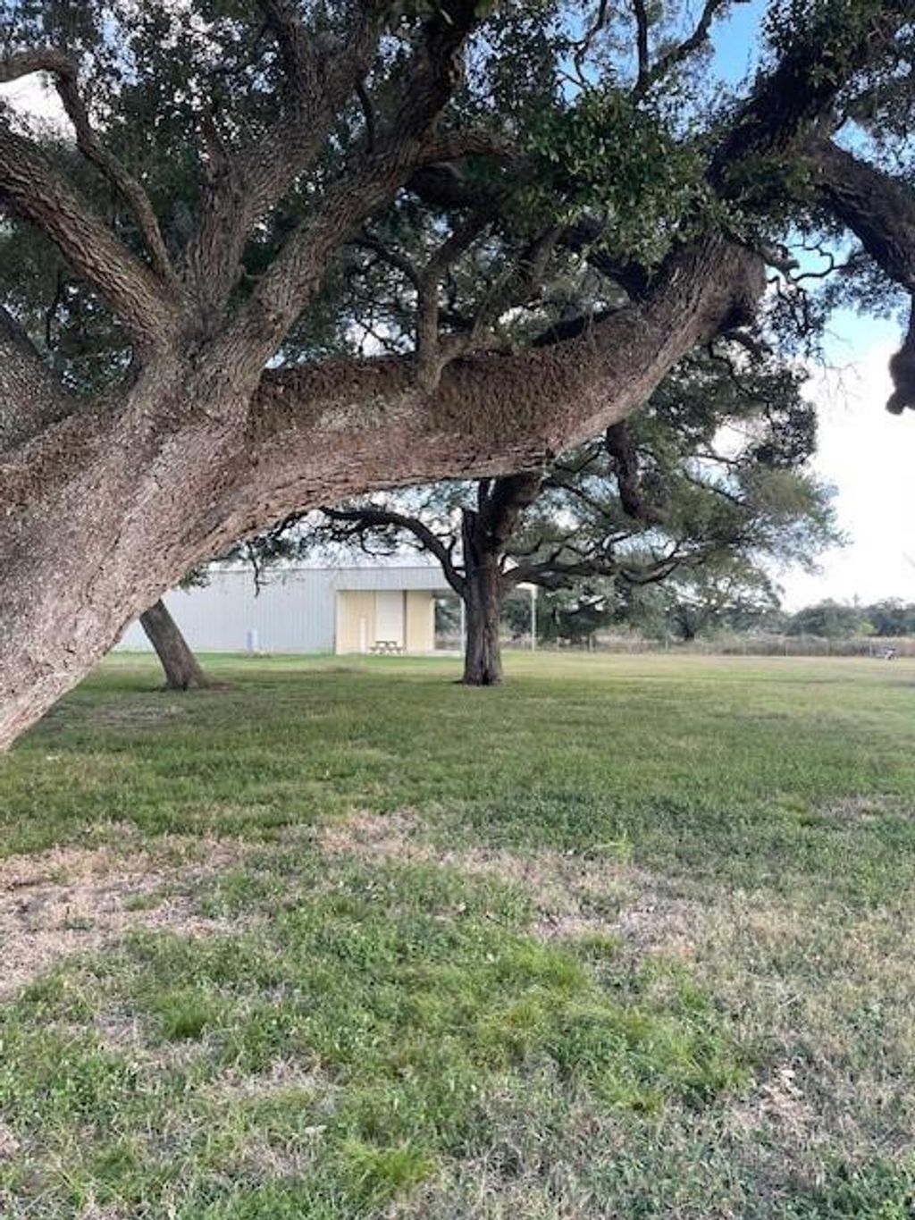 Photo of 1409 County Road 124, Wharton, TX 77488 (MLS # 61827368)
