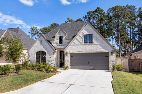 Photo of 219 W Netleaf Court, Montgomery, TX 77316 (MLS # 46487899)