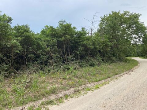 Photo of 0 Green Ash Drive, Normangee, TX 77871 (MLS # 82462392)
