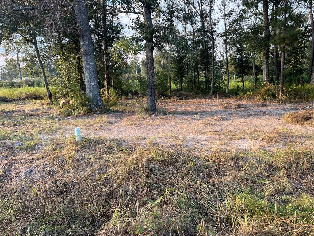 Photo of TBD Twin Oaks Road, Splendora, TX 77372 (MLS # 70787356)