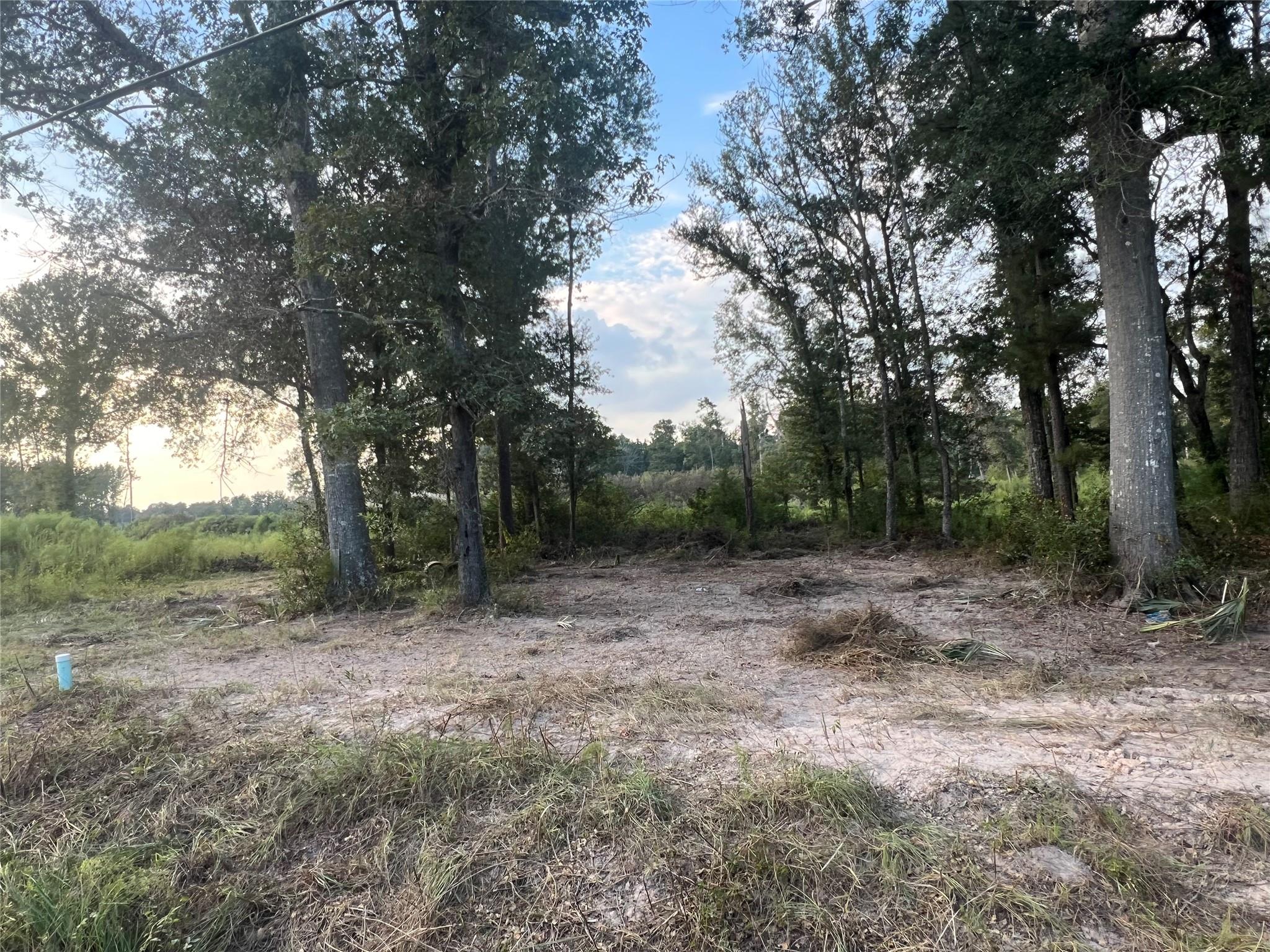 TBD Twin Oaks Road