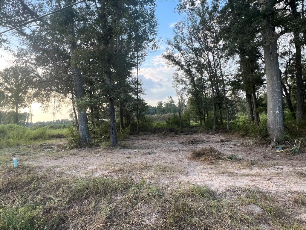 Photo of TBD Twin Oaks Road, Splendora, TX 77372 (MLS # 70787356)