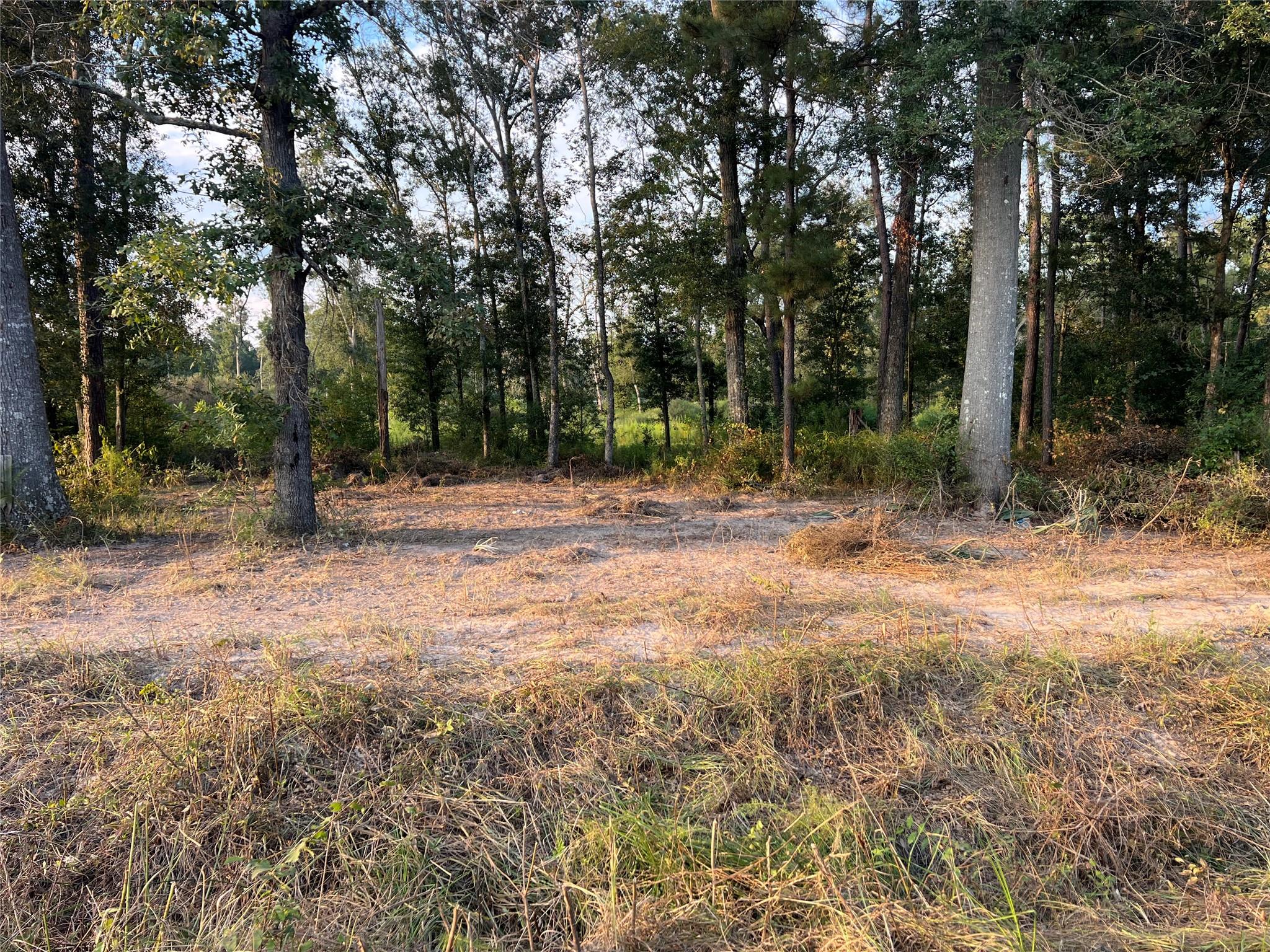 TBD Twin Oaks Road