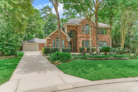 Photo of 14 Kenmare Court, The Woodlands, TX 77382 (MLS # 25764831)