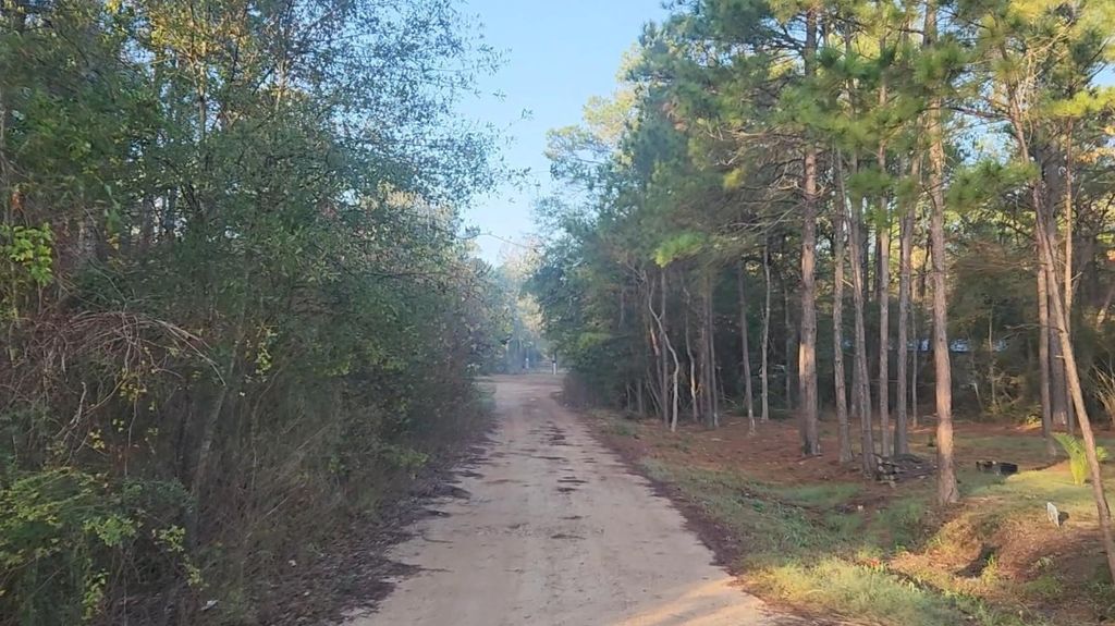 Photo of 7 Sweetleaf Lane, Plantersville, TX 77363 (MLS # 16674860)