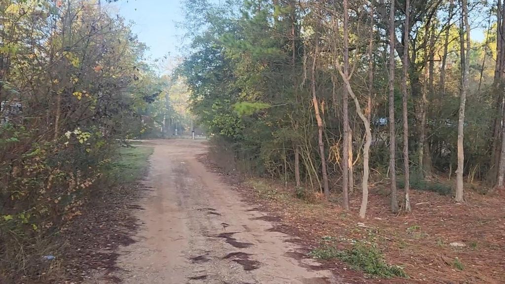 Photo of 7 Sweetleaf Lane, Plantersville, TX 77363 (MLS # 16674860)