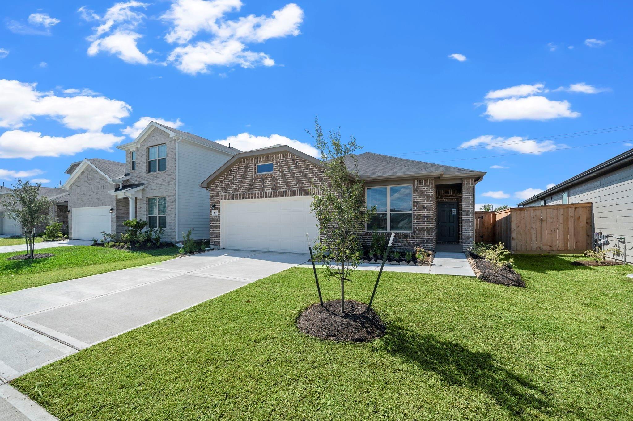 17303 Thor Well Lane