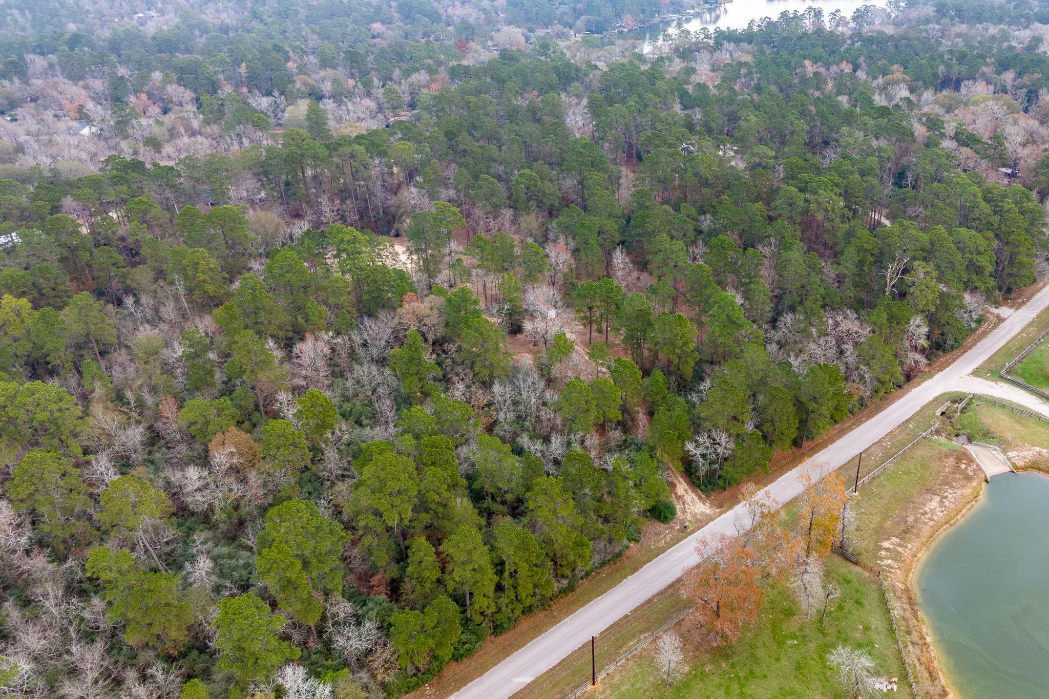 14074 Lewis Lane
