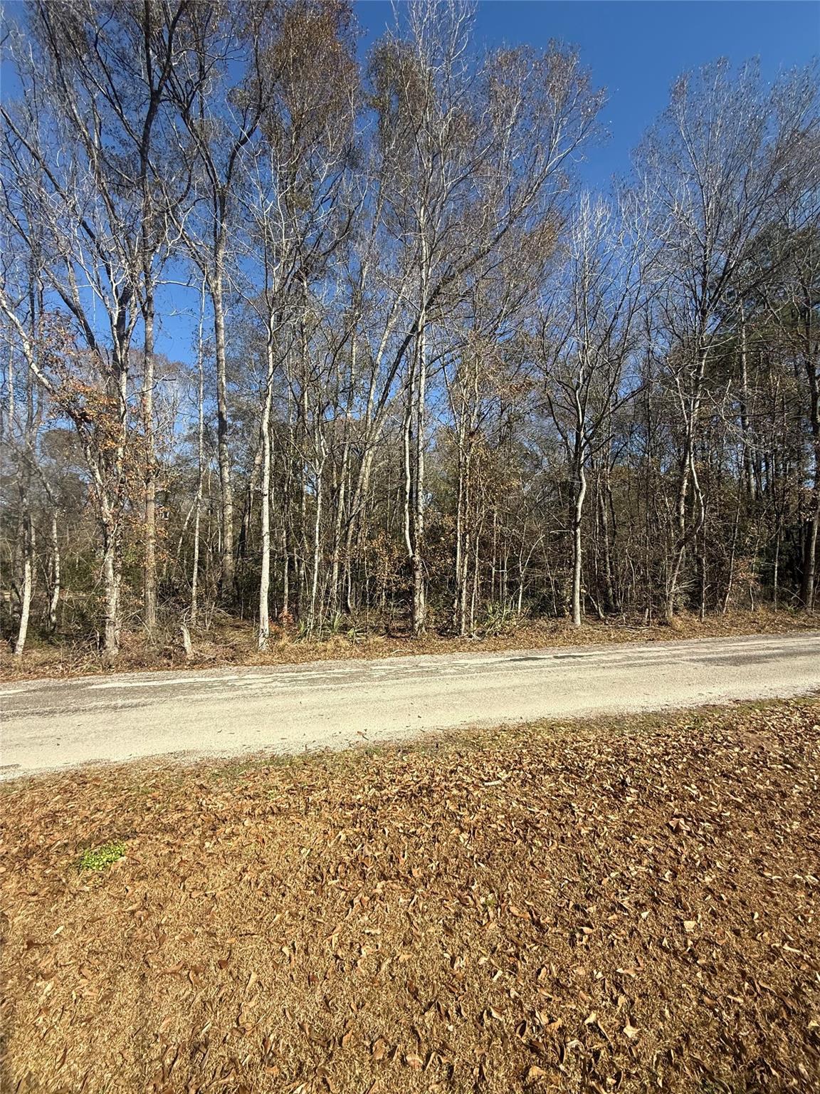 TBD County Road 3669c