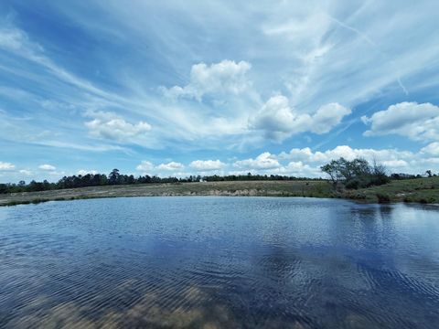 Vacant Land For Sale - 143 AC Cr 236<br/> Leon County, Oakwood, TX 75855