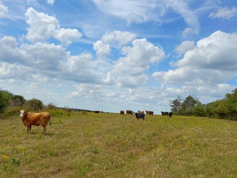 143 ac Cr 236 Oakwood TX 75855