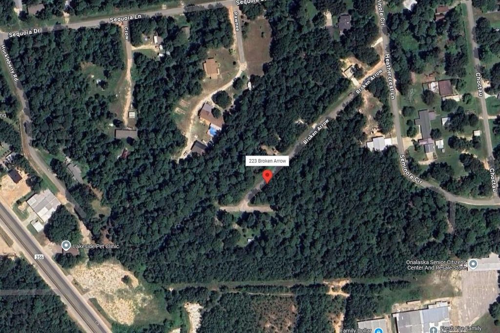 Photo of 223 Broken Arrow, Onalaska, TX 77360 (MLS # 18007836)