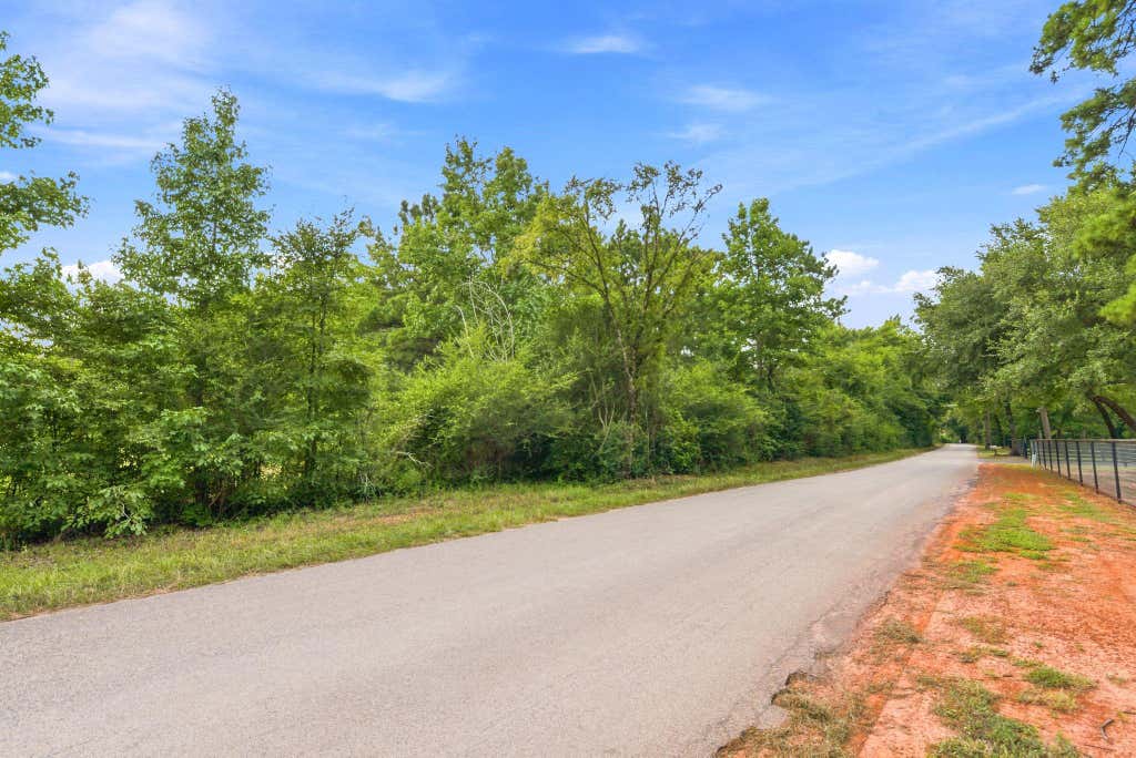 Photo of 201 Lewis Lane, New Waverly, TX 77358 (MLS # 25325104)