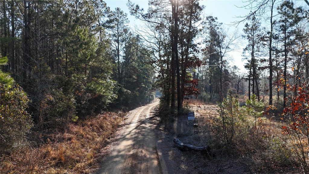 Photo of TBD Baskin Loop, Livingston, TX 77351 (MLS # 49680460)