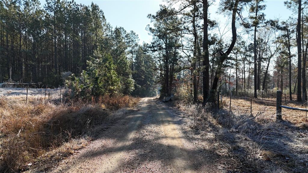 Photo of TBD Baskin Loop, Livingston, TX 77351 (MLS # 49680460)