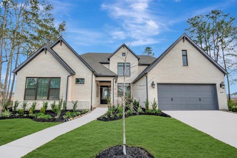 Photo of 18019 Lobos Point Lane, Conroe, TX 77302 (MLS # 51376524)