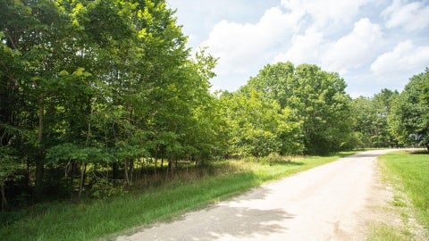 Photo of 384 Hideaway Drive, Trinity, TX 75862 (MLS # 18786860)