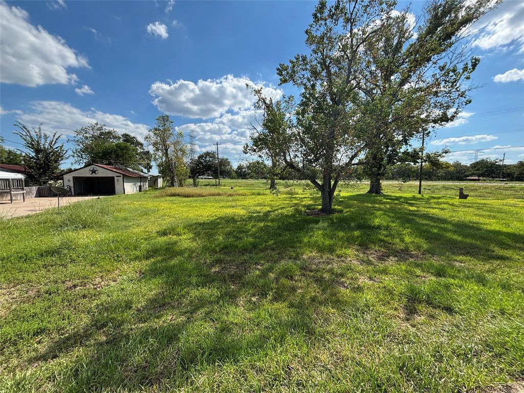Photo of 1093 County Road 913, Brazoria, TX 77422 (MLS # 81382738)