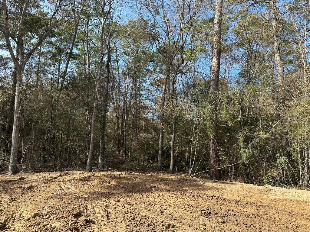 Photo of 0 Hickory Lane, New Caney, TX 77357 (MLS # 75635813)