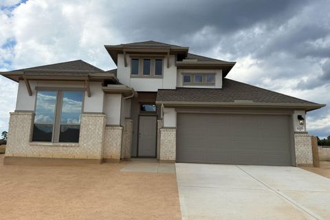 Photo of 42818 Manzano Street, Magnolia, TX 77354 (MLS # 65107381)