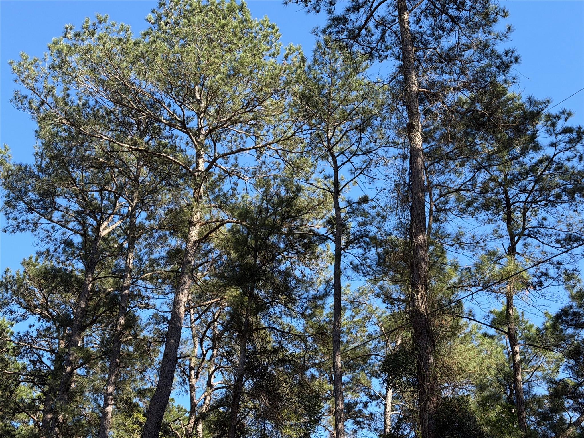 4748 County Road 148