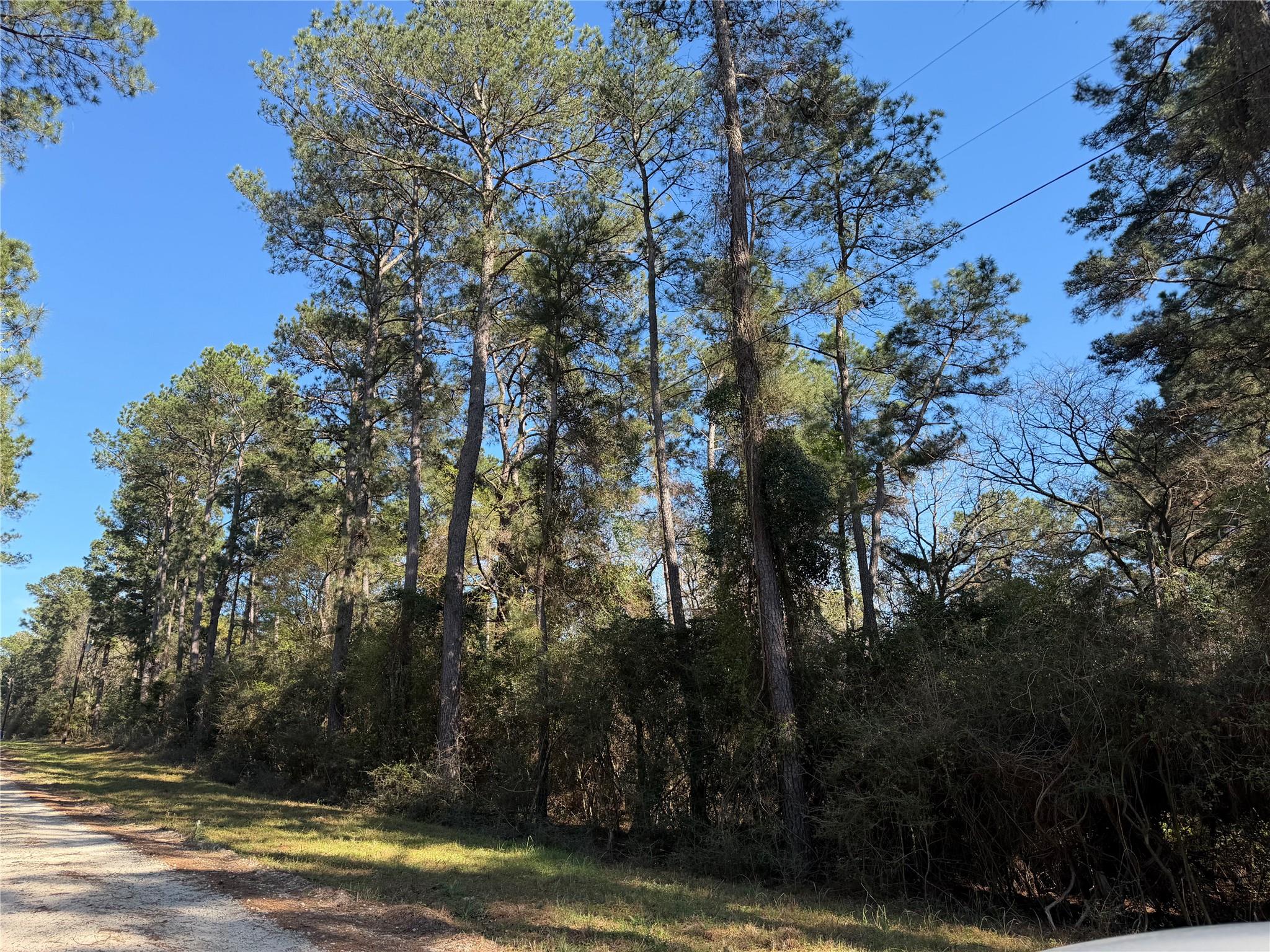 4748 County Road 148