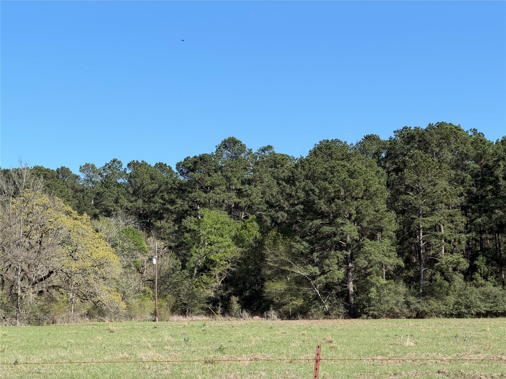 4748 County Road 148