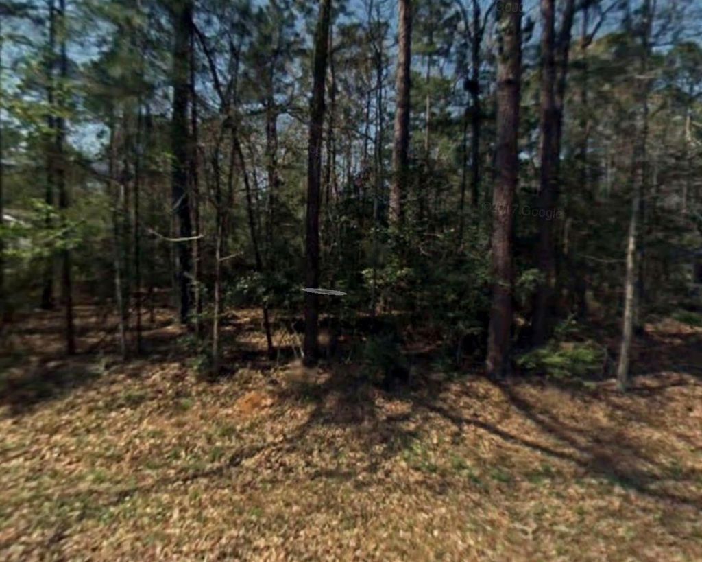 Photo of 0 Rosemary Lane, Livingston, TX 77351 (MLS # 73392082)