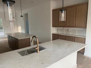 676 Crested Duck Court