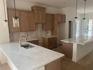676 Crested Duck Court