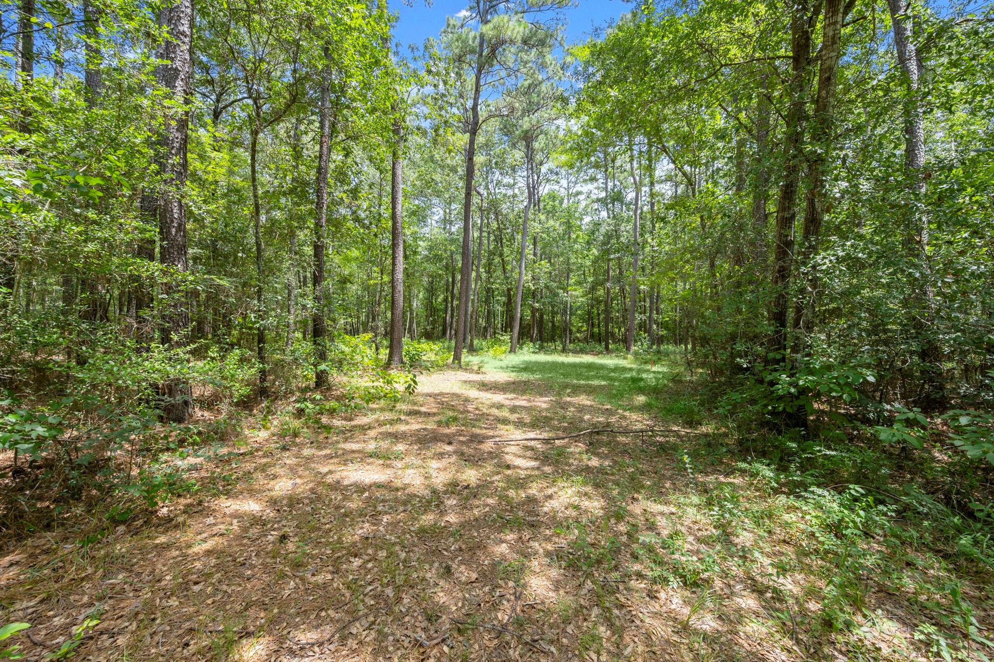 0 Wee Creek Lane