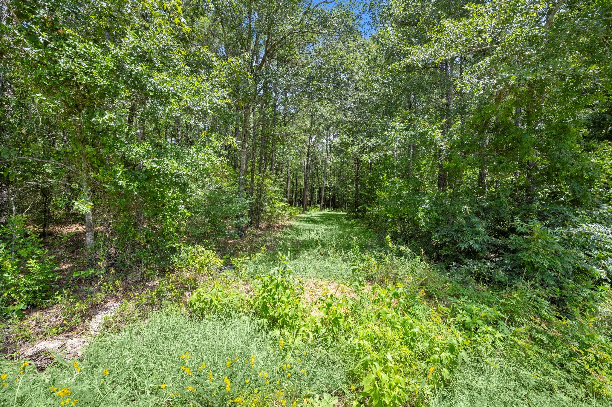 0 Wee Creek Lane
