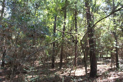 Vacant Land For Sale - TBD 0magnolia<br/> Trinity, TX 75862