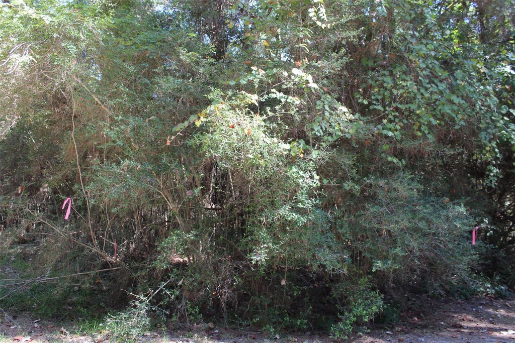 Photo of TBD 0magnolia, Trinity, TX 75862 (MLS # 23989386)