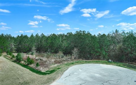 Photo of 4505 Mistywood Court, Montgomery, TX 77316 (MLS # 23856171)