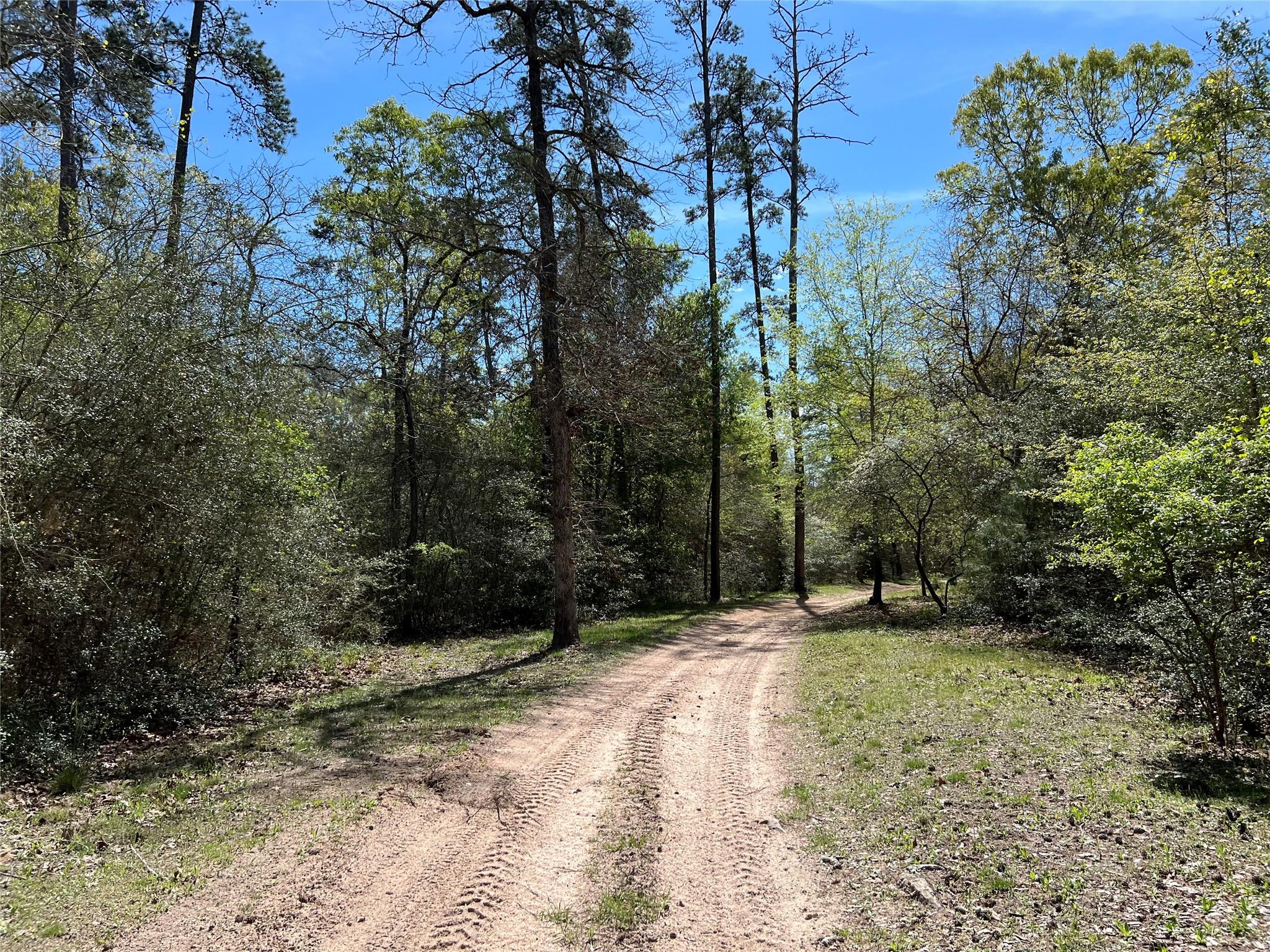 9296 County Road 302