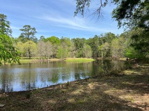 Photo of 9296 County Road 302, Plantersville, TX 77363 (MLS # 64108051)