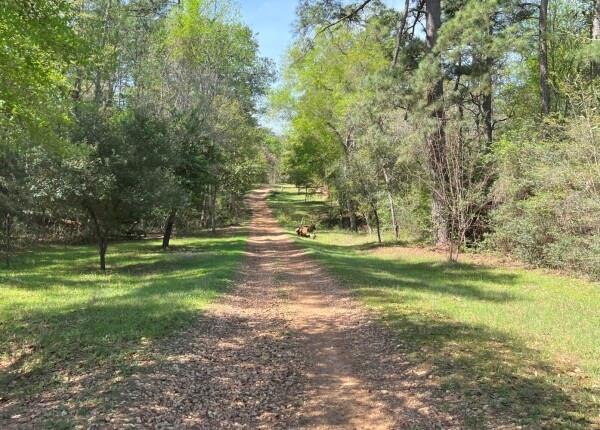 9296 County Road 302