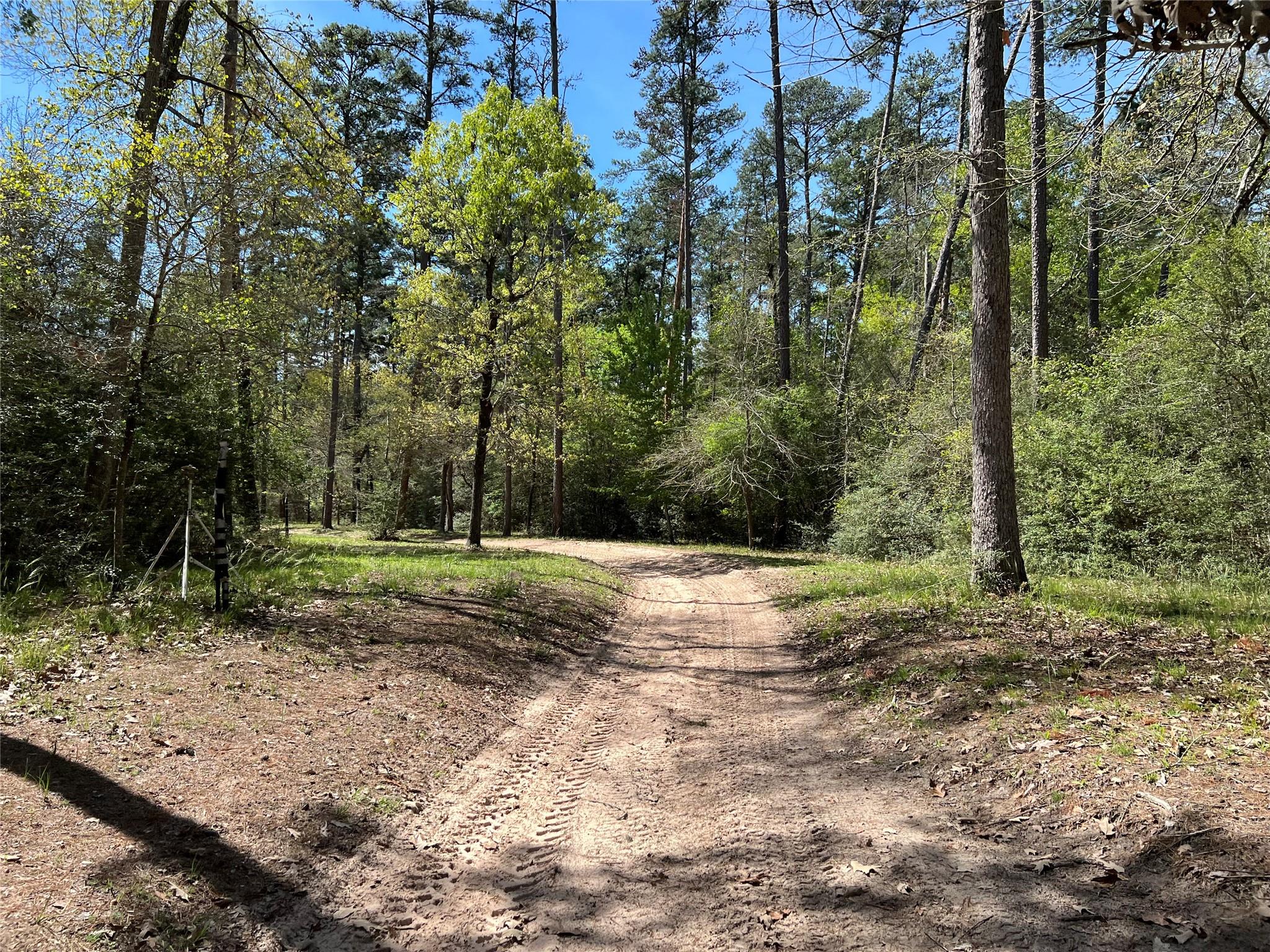 9296 County Road 302