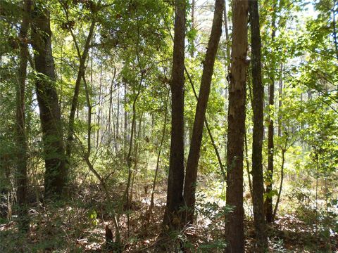 Photo of 5150 Josserand Road, Groveton, TX 75845 (MLS # 86191884)