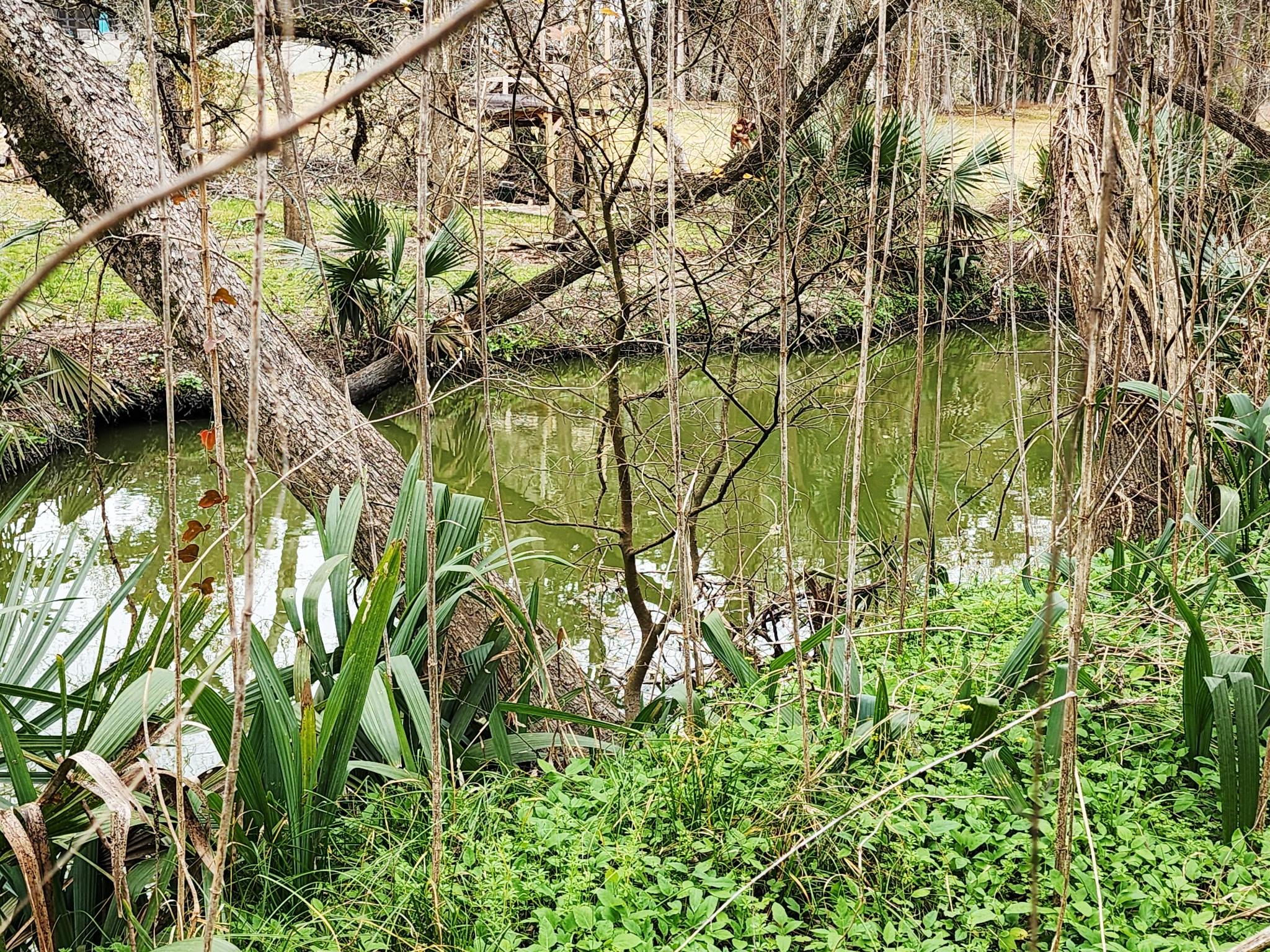 27 Cotton Bayou Circle