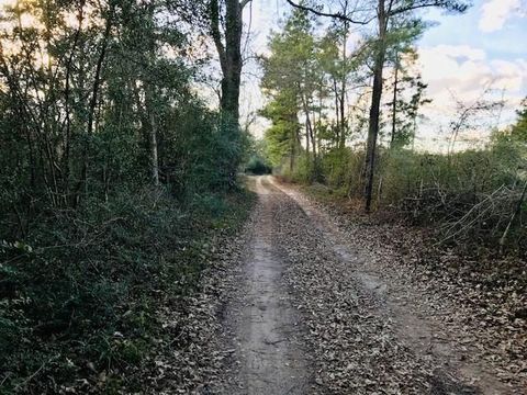 Vacant Land For Sale - 00 10 Ac Off Of Fm 1309<br/> Lovelady, TX 75851