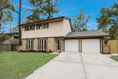 24807 Glen Loch Drive Spring TX 77380