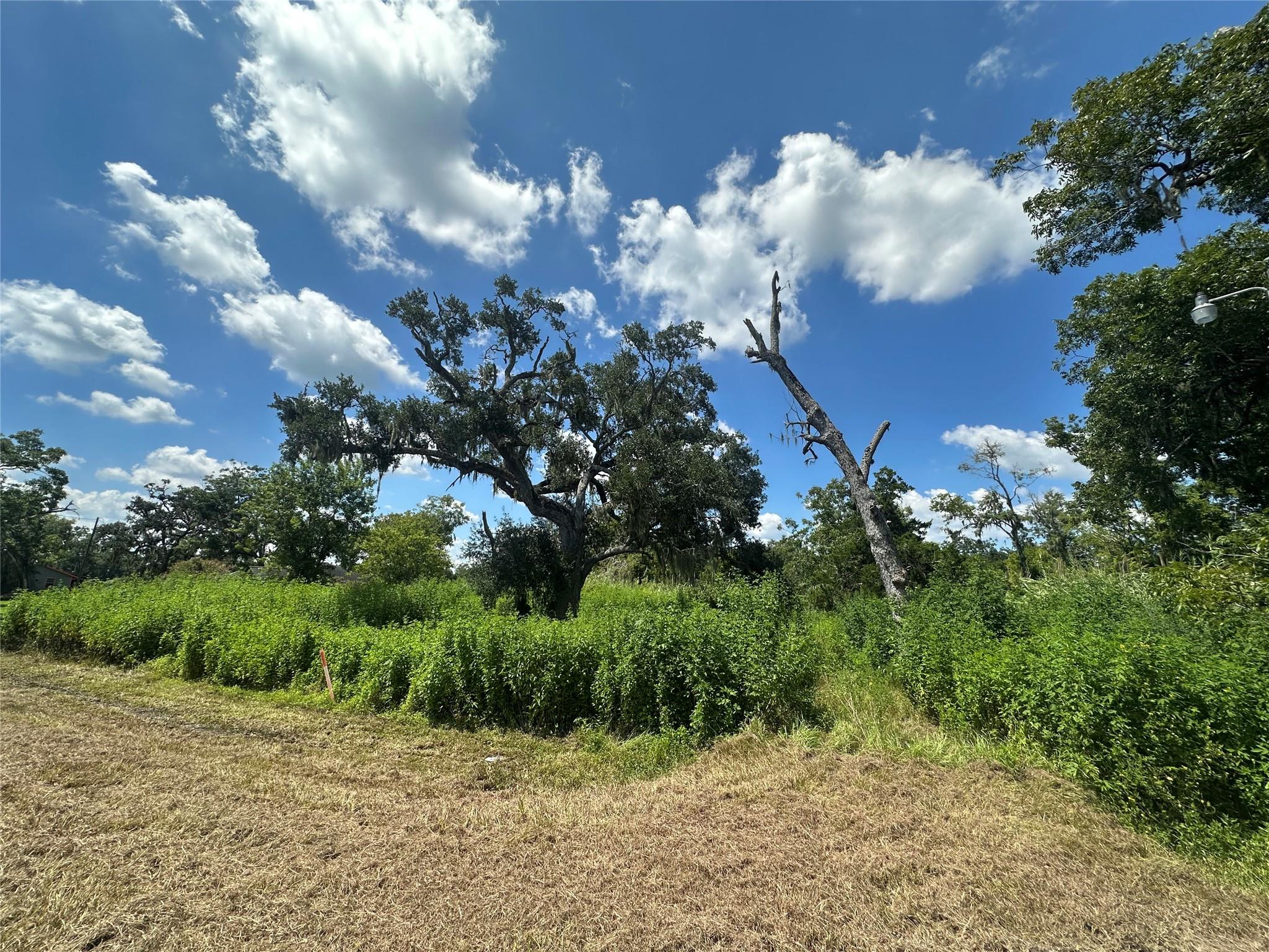 1665 County Road 310